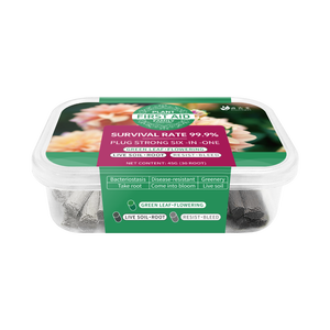 Barras de Nutrición de plantas de liberación lenta seguras NPK equilibrado para flores y plantas en <span class=keywords><strong>maceta</strong></span> Suculentas Cuidado del jardín - Product Image 3