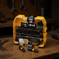 Jeu de tournevis DeWalt Flex Torq 25 mm Ph2 25 pièces avec étui de rangement robuste