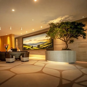 Tùy chỉnh trong nhà cảnh quan ngoài trời dự án thân cây lớn cây nhân tạo cây thông già, cây liễu giả cây phong giả - Product Image 6