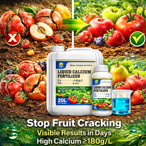 <span class=keywords><strong>Engrais</strong></span> liquide au calcium <span class=keywords><strong>pour</strong></span> tomates, prévient la pourriture des fleurs, <span class=keywords><strong>engrais</strong></span> soluble dans l'eau - Product Image 5
