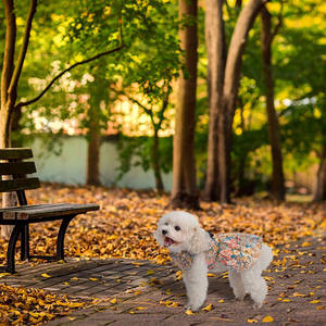 Vacances quotidiennes porter des animaux <span class=keywords><strong>de</strong></span> compagnie chiot jupe motifs <span class=keywords><strong>de</strong></span> fleurs fleurs mignonnes fille chien robe vêtements pour animaux <span class=keywords><strong>de</strong></span> compagnie - Product Image 4