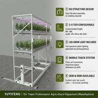 Sistema hidropónico de plantación de interiores 4 pies * 8 pies Estante de cultivo de doble nivel Sistema de estante de cultivo vertical móvil para invernadero