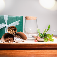 Kit Terrarium Géométrique Plante Hydroponique Pour Terrarium Décor Terrarium Mousse Verre