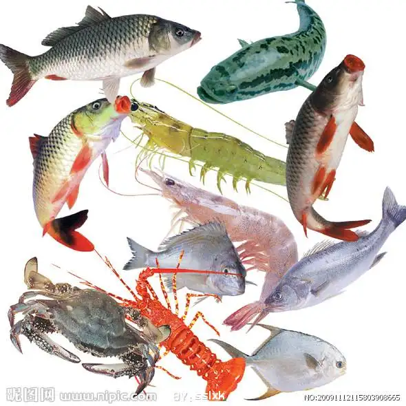 CAS 62637-93-8 Aquatic Feed TMAO Trimethylamine oxid dihydrat Fish feed Shrimp krabben feed additiv