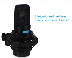 Fabbricazione Alctron in studio di registrazione microfono a condensatore con shock mount per YouTube trasmissione in diretta di canto di prestazione della fase - Product Image 6