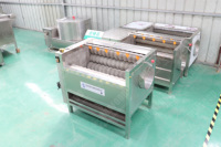 Fabrieksprijs Cactusvijg Groentewasmachine Cassave Peeling Borstel Aardappel Reinigingsmachine