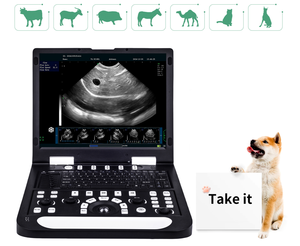 Échographe vétérinaire portable pour animaux de compagnie, pour le contrôle de la grossesse et l'examen des organes internes en clinique vétérinaire RS-N60(VET) - Product Image 3