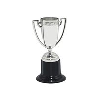 Copa de Trofeo de Plástico Dorada con Base Redonda Negra, Precio Económico, Logotipo Personalizado en Dorado, Plateado o Bronce, Mini Copa de Trofeo