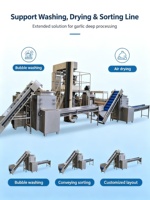 Automatische groenteschiller voor knoflook, ui, gember, volledig geautomatiseerde installatie voor de productie van knoflookpasta en -poeder