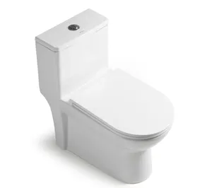 Bolina W2121 Factory Wholesale Hot Selling American Standard Sanitary Ware Top Dual Flush Tornado Flush 1 Piece Toilet