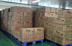 Cápsulas de lavado de alta eficiencia OEM ODM cápsulas desechables líquidas 4 en 1 cápsulas de detergente para lavandería OEM - Product Image 6