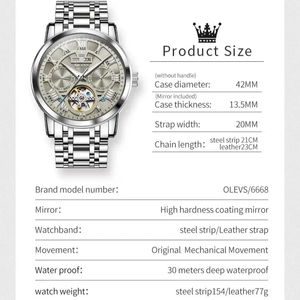 Montre Homme Automatique Squelette de Luxe OLEVS 6668, Mouvement de Marque Supérieure, Cadran Romain, Calendrier, Étanche, pour Hommes d'Affaires - Product Image 4