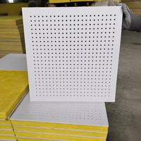 Panneau de plafond acoustique perforé en carton gypse avec surface en papier, absorbant le son, pour la décoration de salles d'exposition et de bureaux