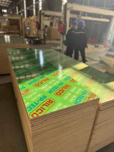 Paneles de Contrachapado de Plástico Verde PP de Grado de Construcción con <span class=keywords><strong>Revestimiento</strong></span> de Película Protectora de Plástico - Product Image 2