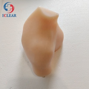 Mô Hình KHỚP VAI Mô Phỏng Giảng Dạy Y Tế Khớp Vai - Product Image 2