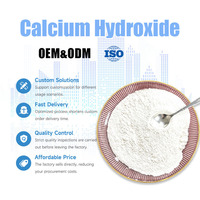 Hydroxyde de calcium de haute pureté à 90 % en gros, poudre de chaux calcaire 250 mesh, traitement des eaux usées, conditionneur de béton, chaux hydratée
