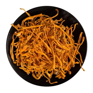 Il fiore di Cordyceps essiccato naturale allevia l'asma e allevia la tosse Cordyceps Militaris Flower