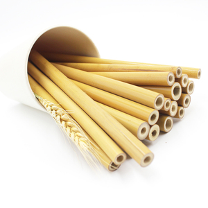 Vente chaude De Haute Qualité <span class=keywords><strong>robe</strong></span> De <span class=keywords><strong>Cocktail</strong></span> Écologique Réutilisable Bio Bambou Recyclable Paille - Product Image 3