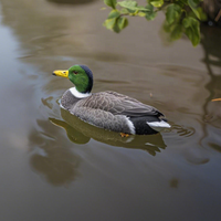 Poussoir nageur pulsateur volant Silhouette poids floqué mousse colvert mouvement gros chasse motorisé canard leurres