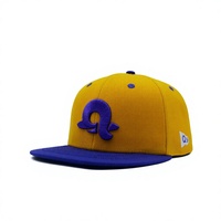 Casquette de sport d'extérieur à 6 panneaux avec logo brodé 3D, visière plate, personnalisable, bicolore, tendance, style hip-hop, snapback, 100% coton, unisexe