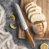Couteau à pain moderne et affûté pour la cuisine, en acier Damas 67 couches, avec cœur de coupe Aus10 et manche en bois de rose africain
