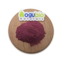 Prix de gros de poudre de fruit de maqui poudre de baie de maqui naturelle pure soluble dans l'eau