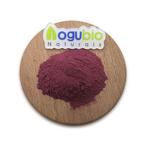 Precio <span class=keywords><strong>al</strong></span> <span class=keywords><strong>por</strong></span> <span class=keywords><strong>mayor</strong></span> <span class=keywords><strong>Maqui</strong></span> Fruit Powder Soluble en agua Pure Natural OEM <span class=keywords><strong>Maqui</strong></span> Berry Powder - Product Image 2