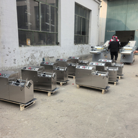 Commerciële automatische friet snijmachine voor aardappel, radijs en zoete aardappel, multifunctioneel voor fruit en groenten
