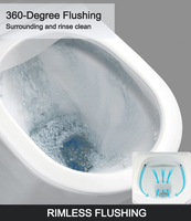 WC intelligent moderne Ovs Ce Europe, cuvette de toilette en céramique pour fille chinoise, siphon mural, WC suspendu