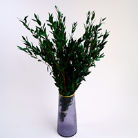 Eucalyptus séché et fleurs séchées pour la décoration intérieure, feuilles vertes naturelles pour les célébrations de Noël et de remise des diplômes, respectueux de l'environnement