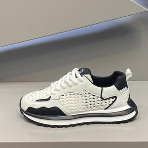 Zapatillas de Running Elásticas de Suela Blanda Ultrafinas de Alta Gama 2025, Malla Genuina Cómoda para Senderismo al Aire Libre en Otoño - Product Image 1