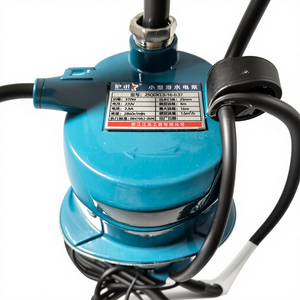 High 1 Inch <b>Submersible</b> Water <b>Pump</b> 25QDX1.5-16-0.37kw 1.5m³/h Motor Clean Price for Irrigation 25QDX1.5-16-0.37 <b>Submersible</b> Wate - Product Image 6