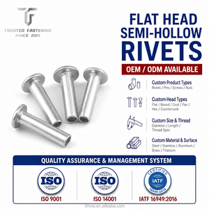 TianFang Remaches Semitubulares de Cabeza Plana Duraderos <span class=keywords><strong>para</strong></span> Fijación Industrial Personalización OEM/ODM 5-100mm - Product Image 1