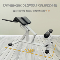Banc romain de fitness commercial réglable pour extensions dorsales, support de gym élégant et personnalisable, chaise romaine
