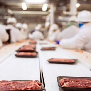 Nieuwe Food-Grade Kunststof <span class=keywords><strong>Module</strong></span> Band Transportband Voor Verwerkte Slagerindustrie Voor Fabrieken - Product Image 2