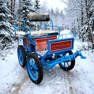 Four-wheel Marathon Mini pony Marathon/marathon Training Carriage - Product Image 1