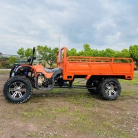 Conception de godet basculant Camions à benne basculante Camions cargo Véhicule pick-up à quatre roues adulte Véhicule à carburant domestique Camion agricole
