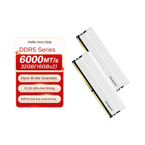 Asgard Hella DDR5-6000-32G-C30 Titanium Silver Armor REG ECC Ensemble de mémoire multi-fréquence, Moule privé, Utilisé pour serveur, Occasion R - Product Image 1