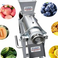 Presse-agrumes électrique en acier inoxydable de haute qualité, extracteur de jus à vis grande capacité, presse-agrumes lent commercial