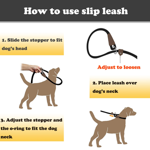 Integrated Pet P Chain Traction Rope <b>Dog</b> Leash Anti-Riot Nylon Hand-Stitched <b>Dog</b> <b>Collar</b> Thick <b>Dog</b> Training Leash - Product Image 4