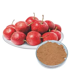 Flavonoid Wholesale Flavonoid 80% Hawthorn Berry Fruit Extract Powder