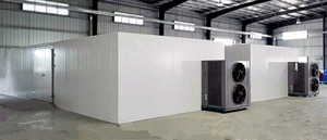 Lemon slices dryer, Banana Chips dryer, Vegetable, Fruits, Seafood Dehydrator Heat Pump Dryer - Product Image 3