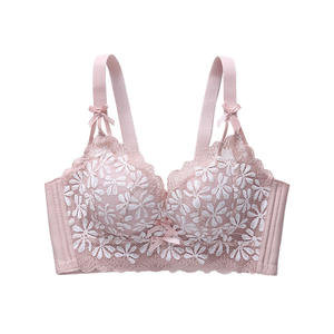 Nouvelle beauté dos <span class=keywords><strong>Push</strong></span> up sans fil Lingerie Sexy Daisy broderie soutien-gorge ensemble pour femmes - Product Image 6