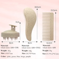Logo personnalisé 4 pièces brosse démêlante en paille de blé écologique masseur de cuir chevelu brosse à shampooing ensembles de peignes à dents larges pour la croissance des cheveux