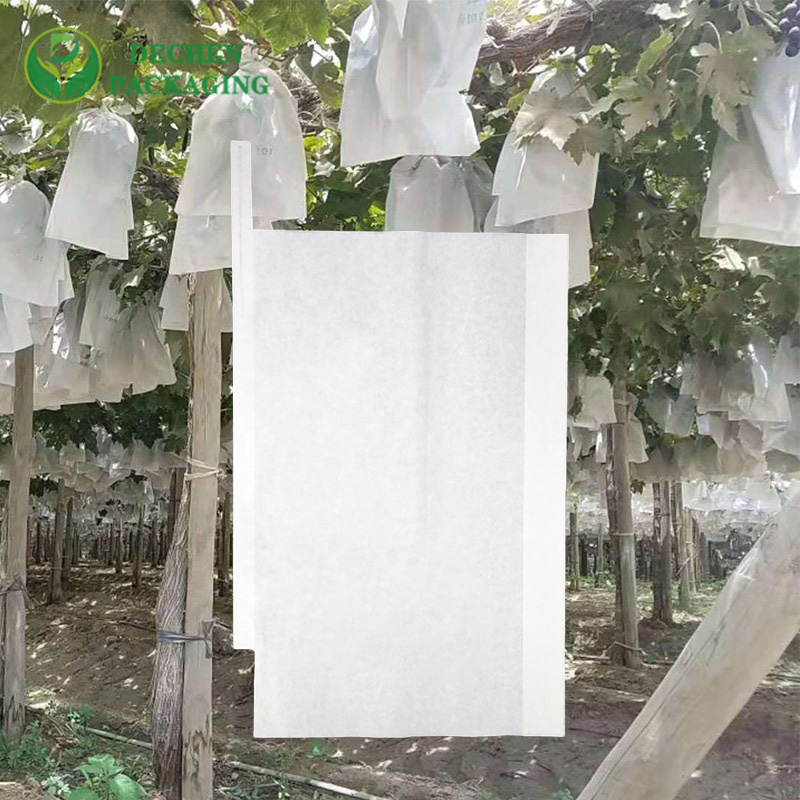 Best Fruit Bagging in Mango with Fruit Paper Bag Exporter - Top-Tier & Global