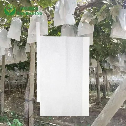 Best Fruit Bagging in Mango with Fruit Paper Bag Exporter - Top-Tier & Global