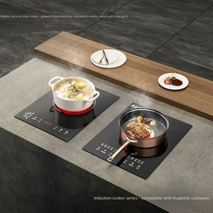 Cuisinière à induction portable à brûleur unique, plaque de <span class=keywords><strong>cuisson</strong></span> électrique intégrée, alimentation <span class=keywords><strong>solaire</strong></span>/par batterie 220V pour usage domestique, friture et fondue - Product Image 6