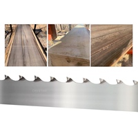 Hoja de sierra de cinta horizontal personalizada con punta de carburo de tungsteno para madera dura y metal