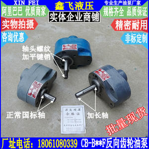 Pompe à huile inversée pour pièces de tour Shenyang Dalian Anyang CB-B2.5F B4F B6F B10F pour hydraulique Pompe à engrenages inversée - Product Image 1