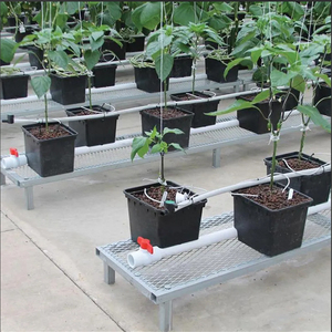 턴키 프로젝트를위한 수경법이있는 네덜란드 꽃 양동이 식물 냄비 수경 네덜란드 양동이 시스템 그린 하우스 - Product Image 3